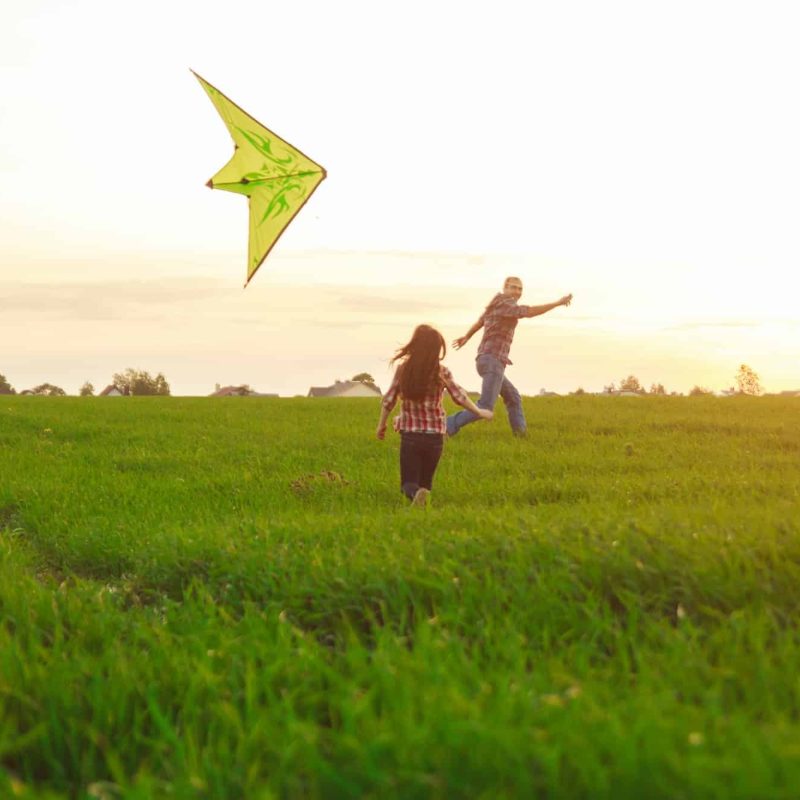 Family launches a kite in the field